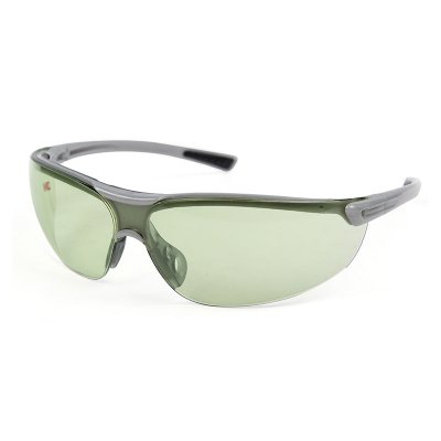 1790G Protective Glasses